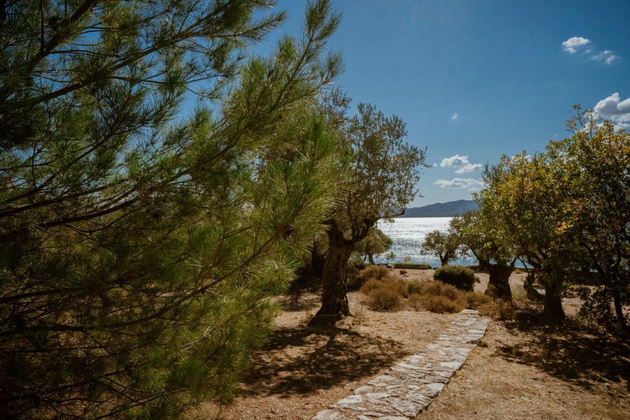 Seafront Traditional Stone House In Sunset Olive Grove - B Alyfanta 外观 照片