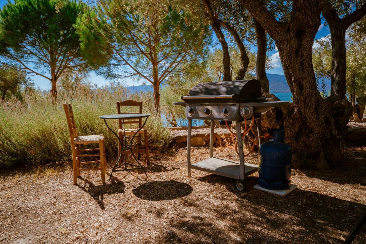 Seafront Traditional Stone House In Sunset Olive Grove - B Alyfanta 外观 照片